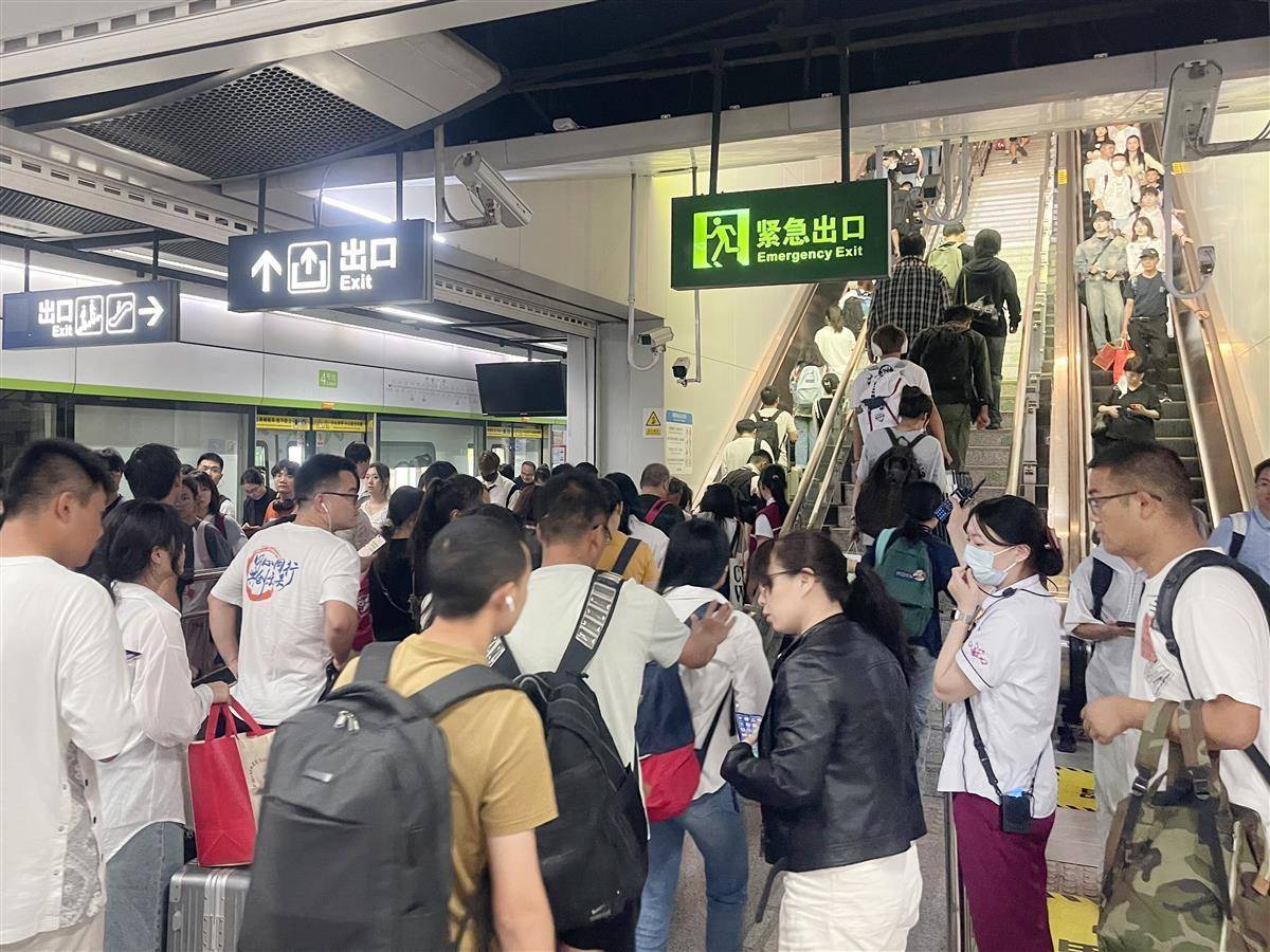 巴黎人网站是多少